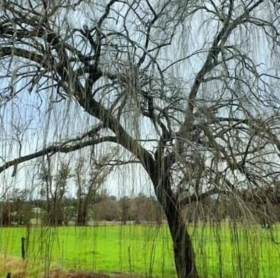 Мотель Blackwood Valley Suites