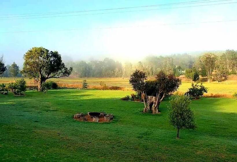 Мотель Blackwood Valley Suites