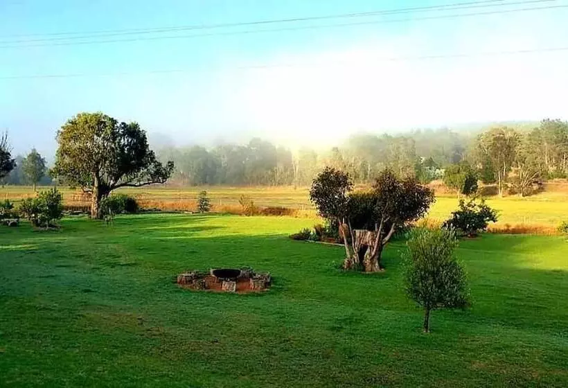 モーテル Blackwood Valley Suites