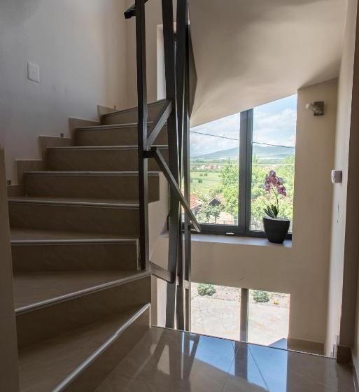 پانسیون Guest House Vila Salute