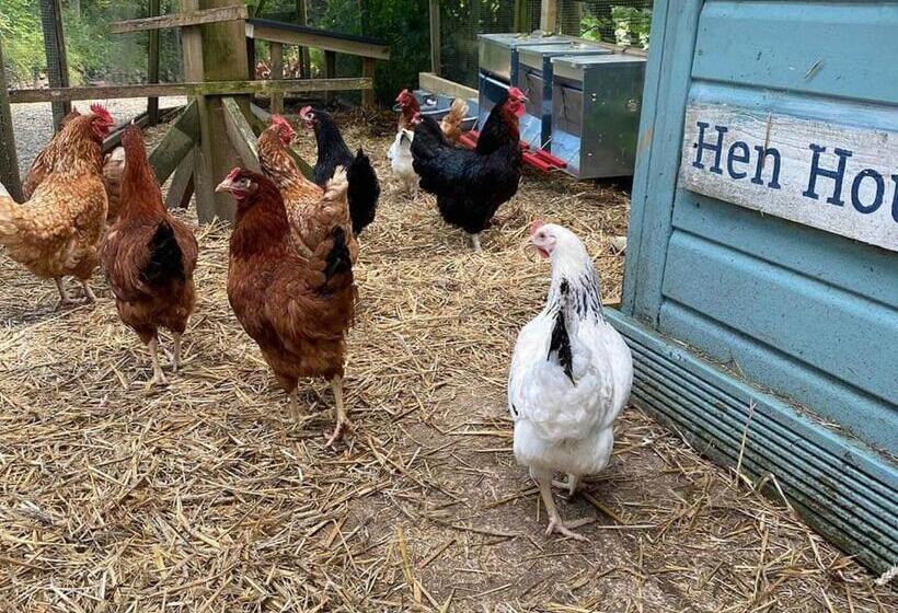 אתר נופש Ivyleaf Combe Lodges