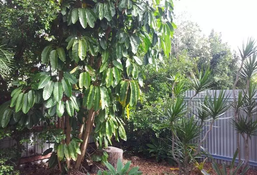 Aamiaismajoitus (B&B) Bluegrass Bnb