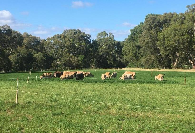 住宿加早餐 Dairyman's Cottage