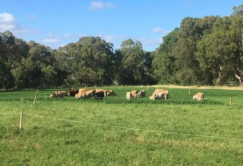 Aamiaismajoitus (B&B) Dairyman's Cottage