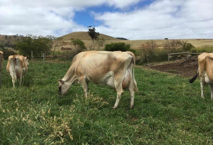住宿加早餐 Dairyman's Cottage