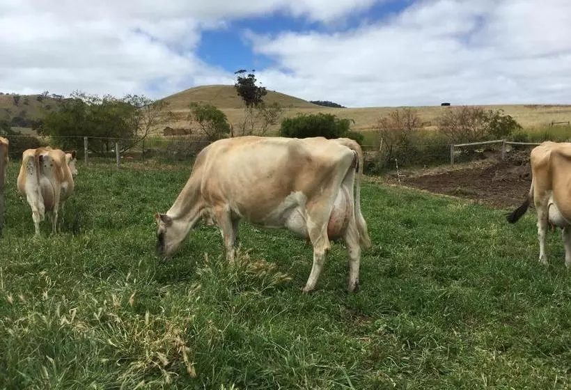 Aamiaismajoitus (B&B) Dairyman's Cottage