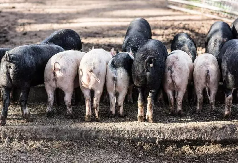 Aamiaismajoitus (B&B) Dairyman's Cottage