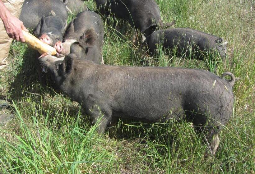 住宿加早餐 Dairyman's Cottage