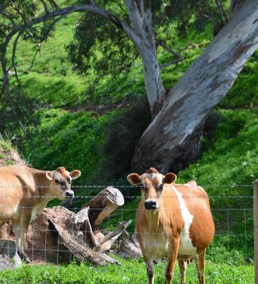 住宿加早餐 Dairyman's Cottage