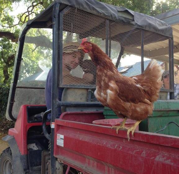 住宿加早餐 Dairyman's Cottage