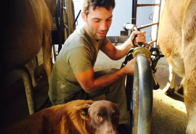 Aamiaismajoitus (B&B) Dairyman's Cottage