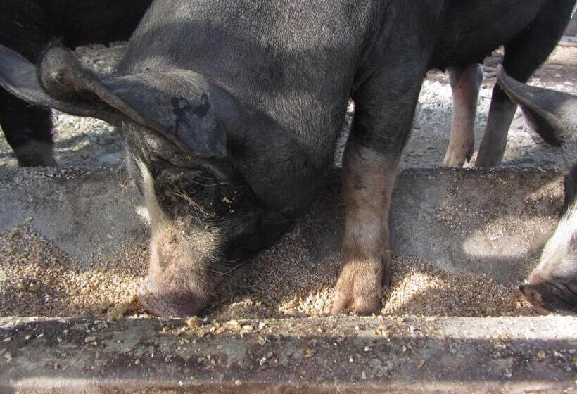 住宿加早餐 Dairyman's Cottage