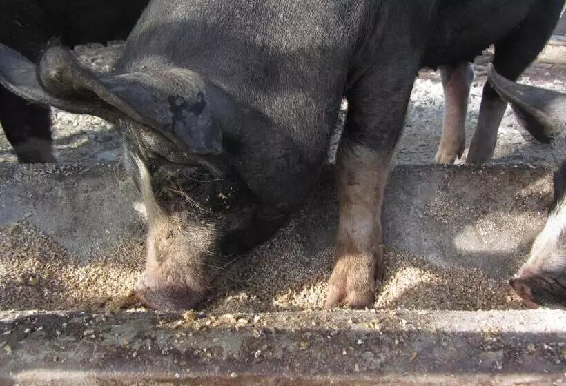 Aamiaismajoitus (B&B) Dairyman's Cottage