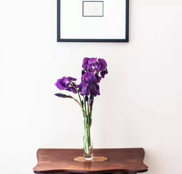 Aamiaismajoitus (B&B) Dairyman's Cottage