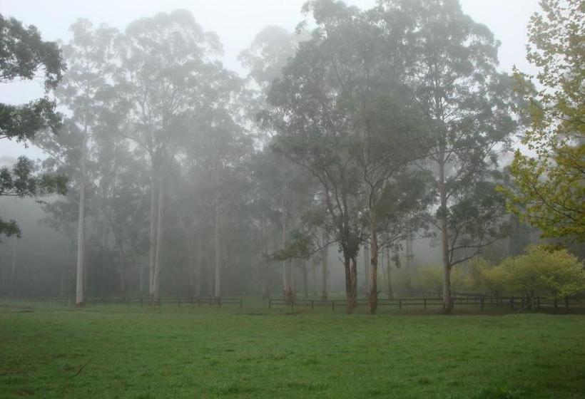 ベッドアンドブレックファースト Dingley Dell