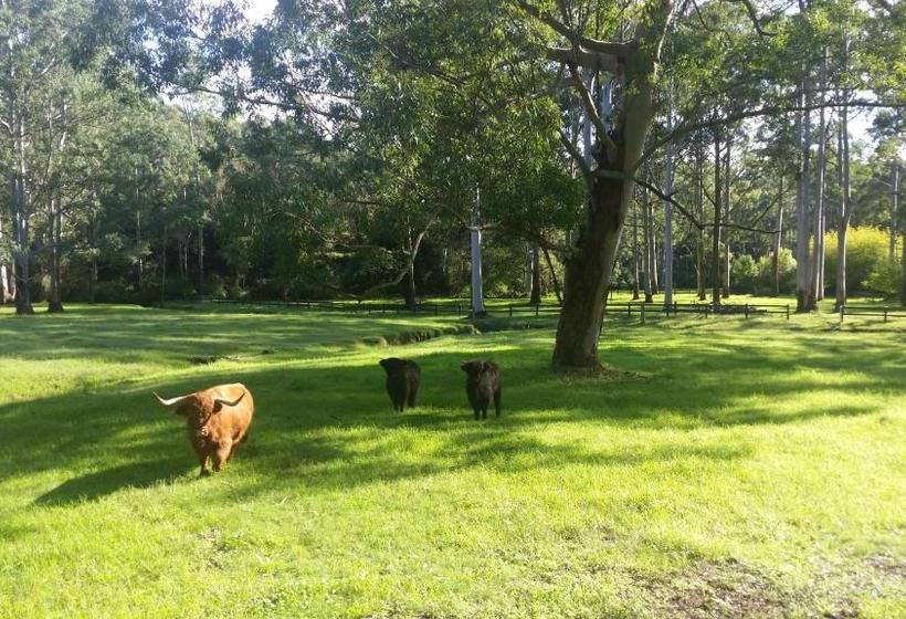 ベッドアンドブレックファースト Dingley Dell