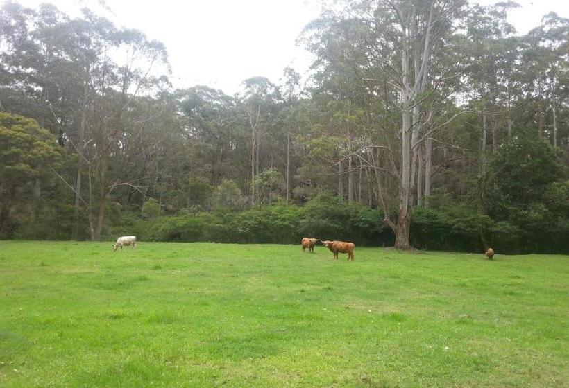 ベッドアンドブレックファースト Dingley Dell