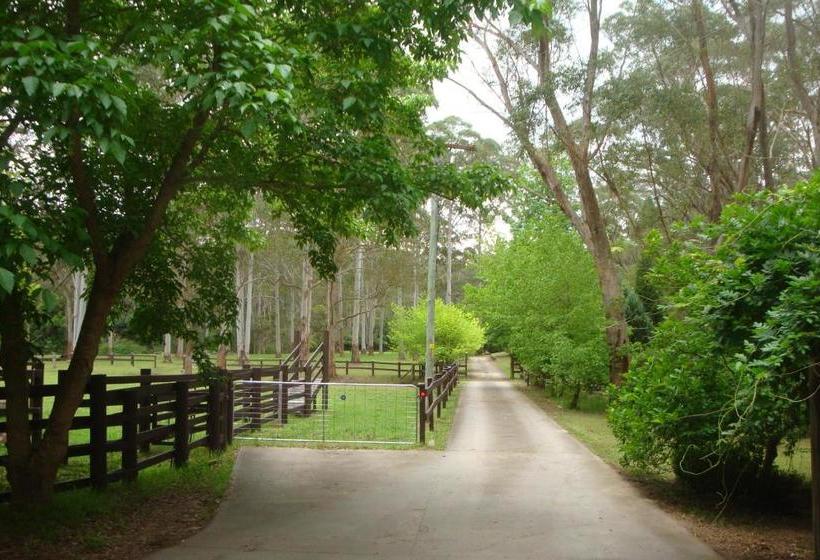 ベッドアンドブレックファースト Dingley Dell