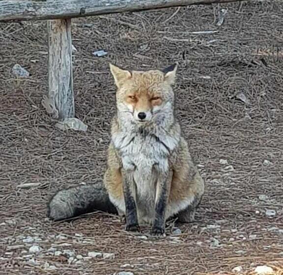 فندق Fattoria Il Duchesco
