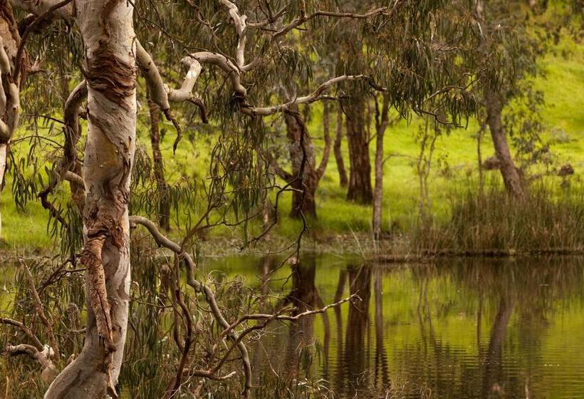 فندق Trawool Shed Cottages, Cafe And Restaurant