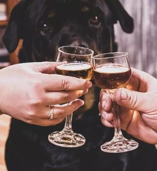 Hotelli Trawool Shed Cottages, Cafe And Restaurant