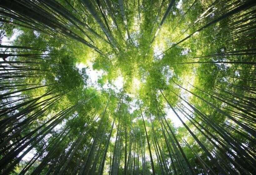 בית מלון כפרי Villa Verde