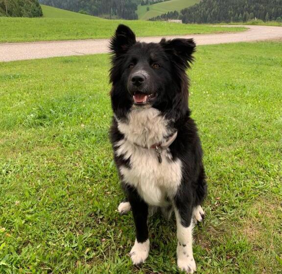 فندق Zukaunighof