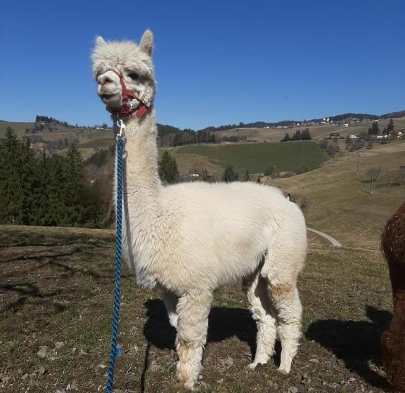 فندق Zukaunighof