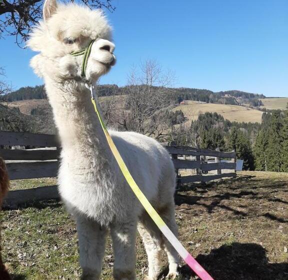 فندق Zukaunighof