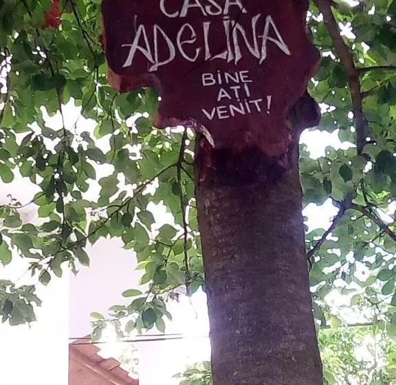 Pensiune Casa Adelina