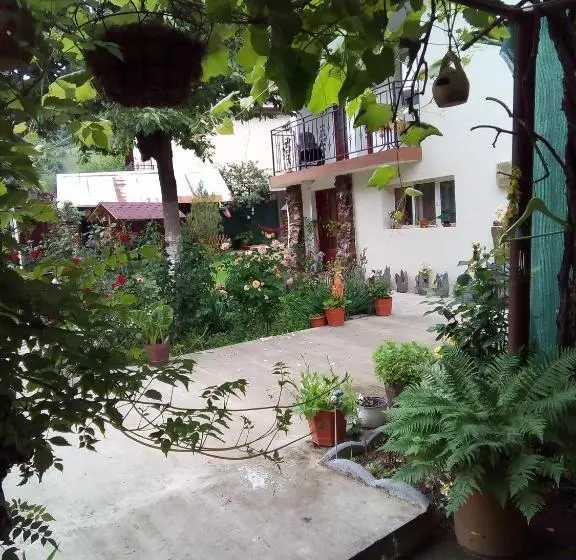 Pensiune Casa Adelina