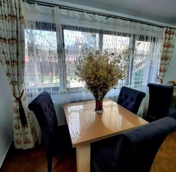 Pensiune Casa Adelina