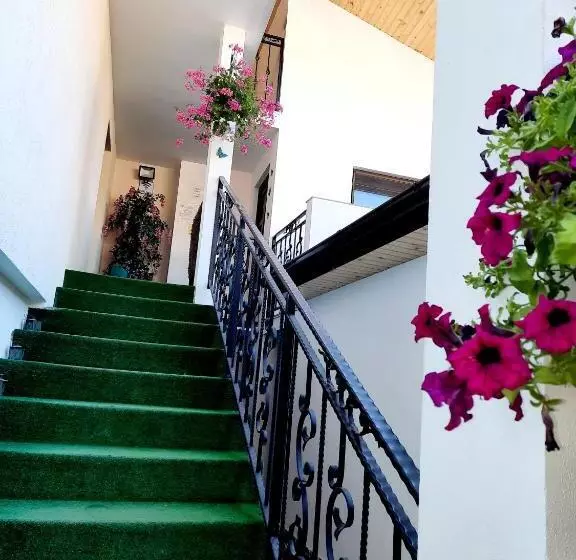 Pensiune Casa Adelina