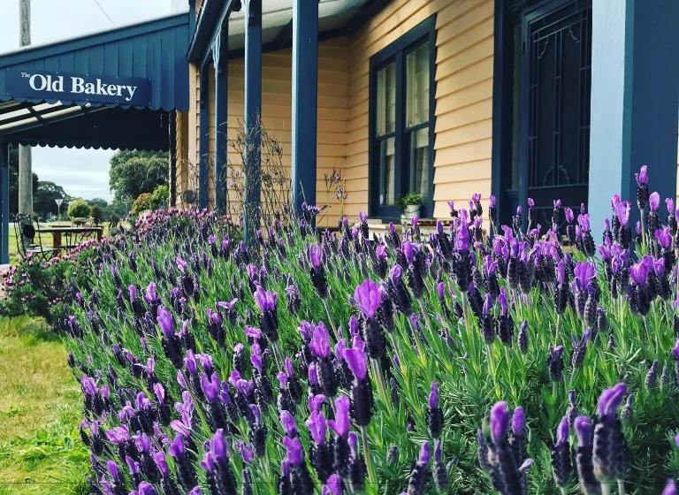 ペンション Dunkeld Old Bakery Accommodations