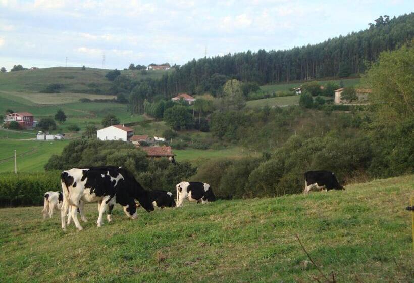 بنسيون Rural Rumoroso