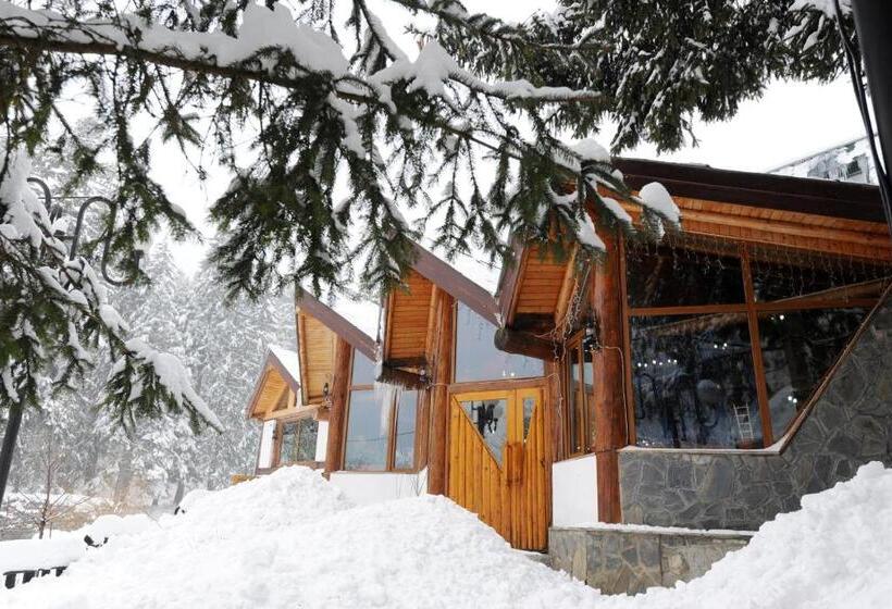 הוסטל Gura Diham