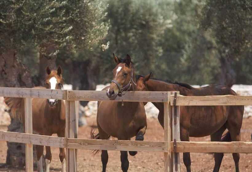 Delle Rose, Hotel & Restaurant