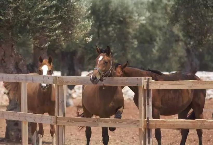 Delle Rose, Hotel & Restaurant