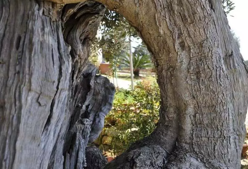 Delle Rose, Hotel & Restaurant