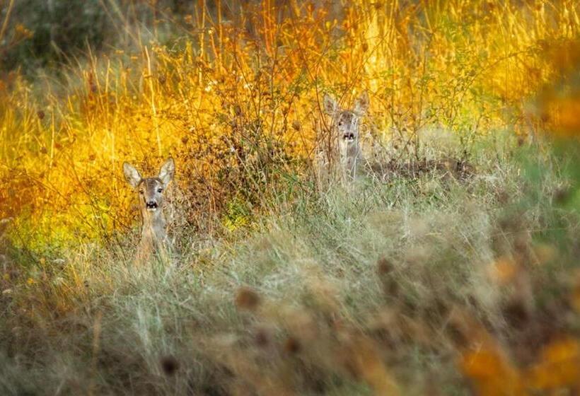 호텔 Castello Di Pupaggi