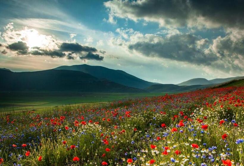 호텔 Castello Di Pupaggi