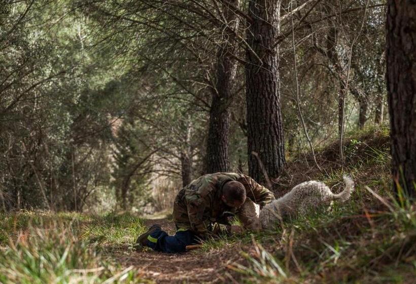 호텔 Castello Di Pupaggi