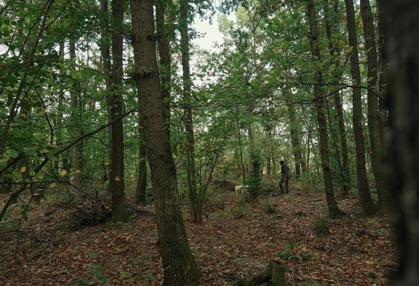 호텔 Castello Di Pupaggi