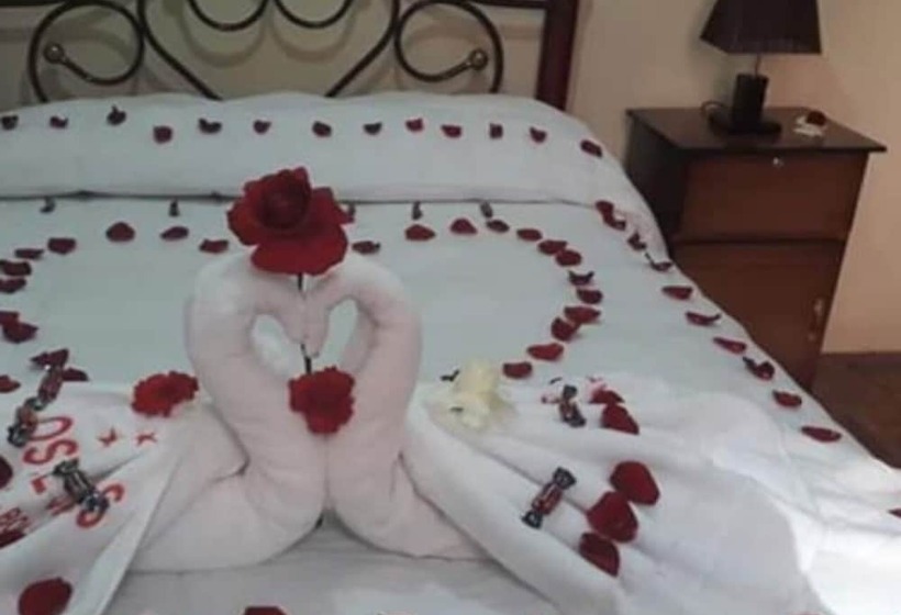 هاستل Hostal Salas