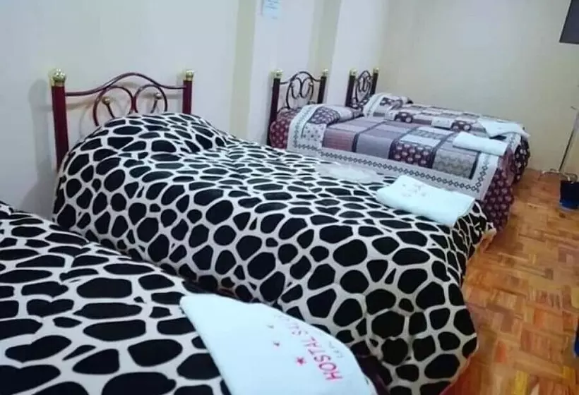 ユースホステル Hostal Salas