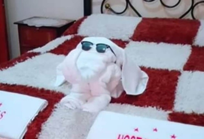 هاستل Hostal Salas