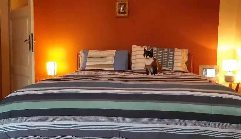 Отель B&b Villa Margherita