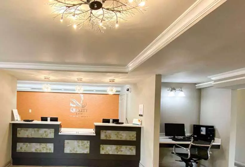 호텔 Quality Inn Harlingen