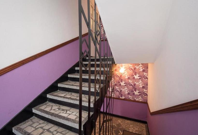 پانسیون House Gabi