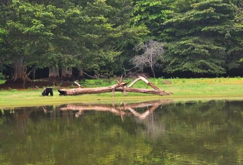 ホテル La Pentera